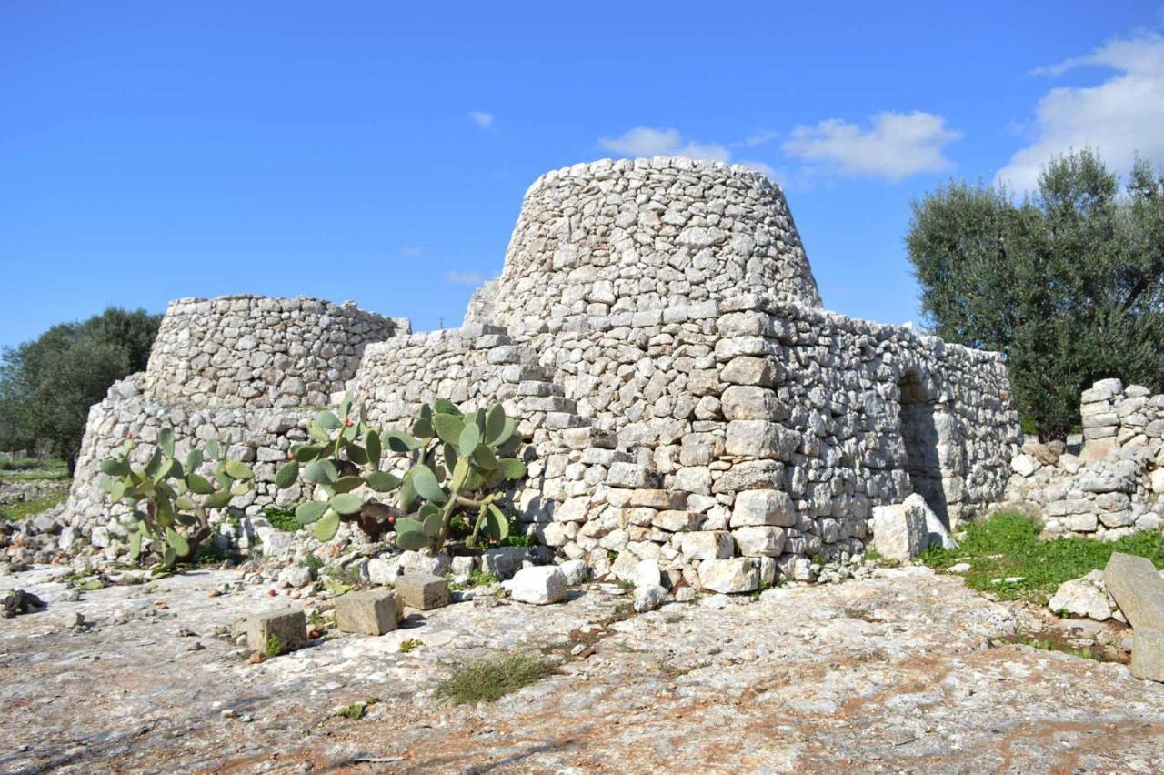 살베 Il Sole Del Salento B&B 외부 사진