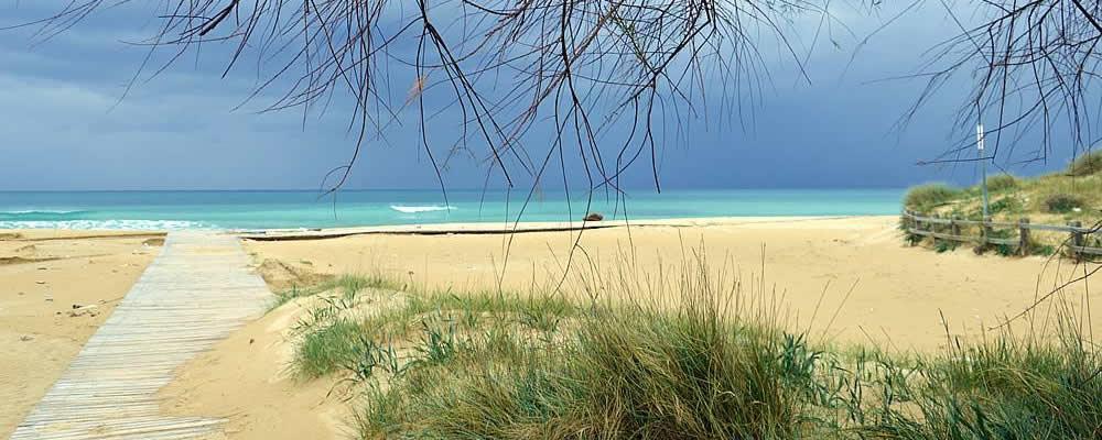 살베 Il Sole Del Salento B&B 외부 사진